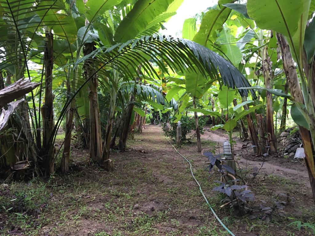 Paipunthong Resort Exteriör bild